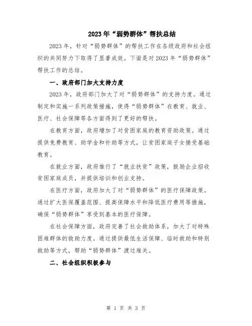 2023年“弱势群体”帮扶总结