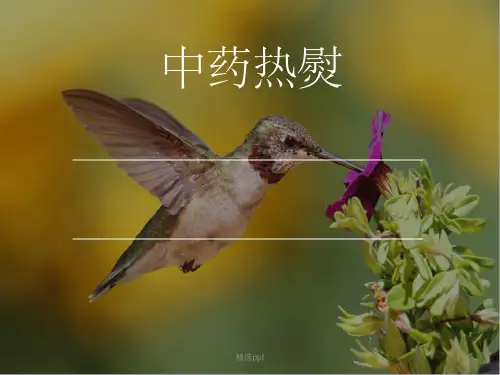 中药热熨ppt课件