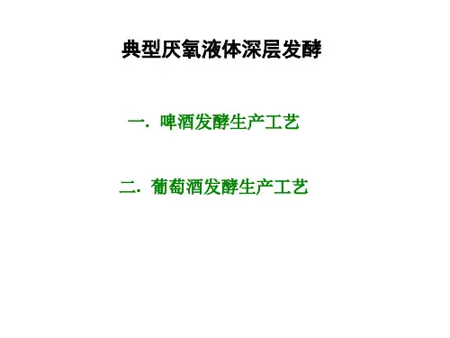 典型发酵类型与发酵工艺