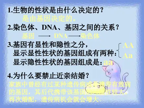 人教版生物八下7.2.4《人的性别遗传》ppt之一