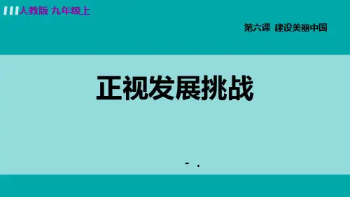 《正视发展挑战》PPT优质课件