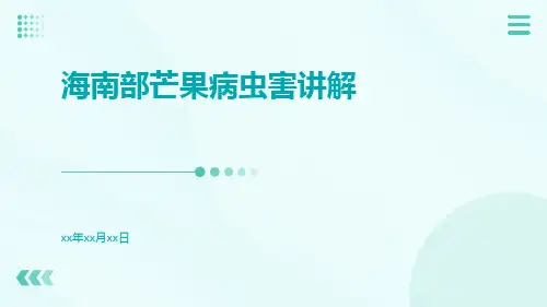 海南部芒果病虫害讲解