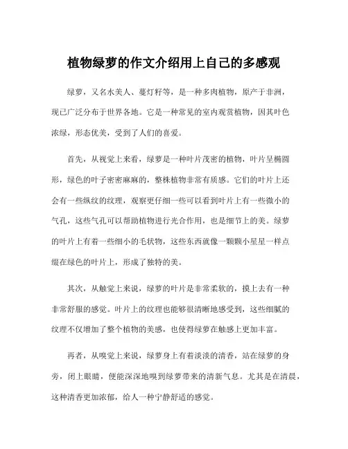 植物绿萝的作文介绍用上自己的多感观