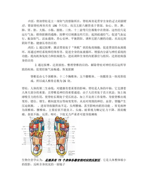 背部、脚底穴位图