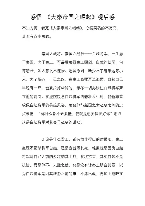 感悟 《大秦帝国之崛起》观后感