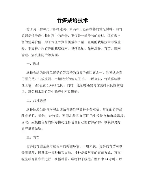 竹笋栽培技术