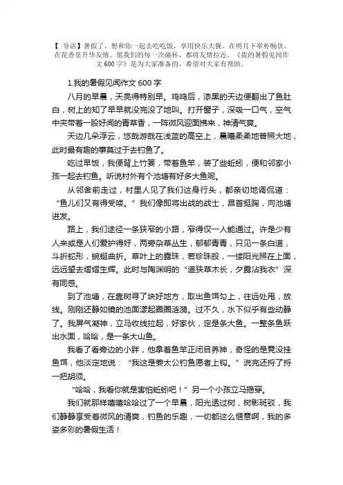我的暑假见闻作文600字【5篇】