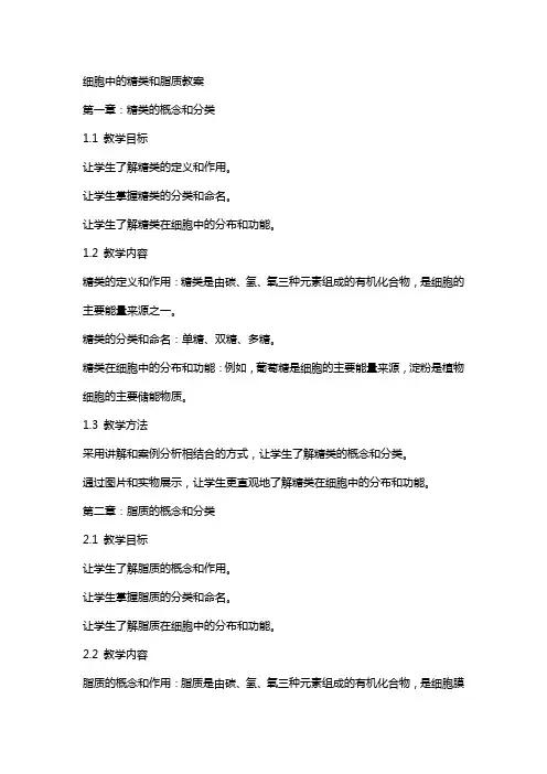 细胞中的糖类和脂质教案