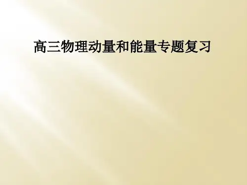 高三物理动量和能量专题复习
