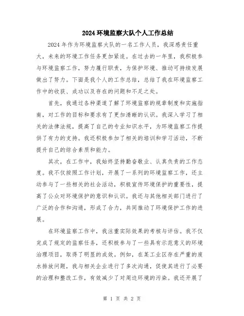 2024环境监察大队个人工作总结