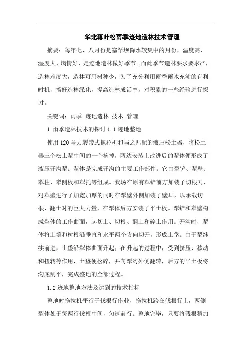 华北落叶松雨季迹地造林技术管理