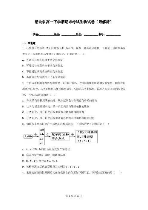 湖北省高一下学期期末考试生物试卷(附解析)