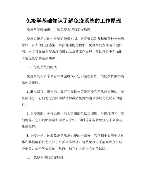 免疫学基础知识了解免疫系统的工作原理