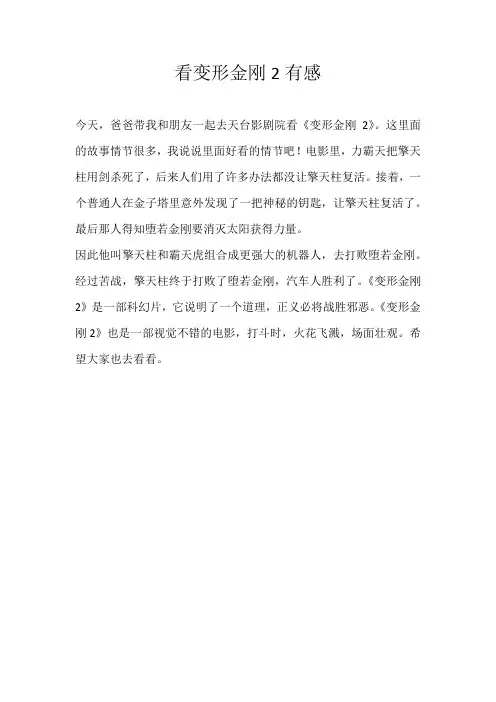 小学观后感看变形金刚2有感