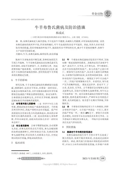 牛羊布鲁氏菌病的症状及防治措施