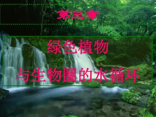 2017-2018学年人教版七年级生物上册课件：3.3 绿色植物参与生物圈的水循环 (共 16  张ppt)