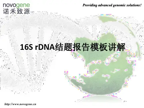 北京诺禾致源-16S 结题报告模板讲解