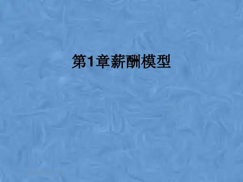 第1章薪酬模型