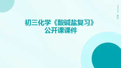 初三化学《酸碱盐复习》公开课课件