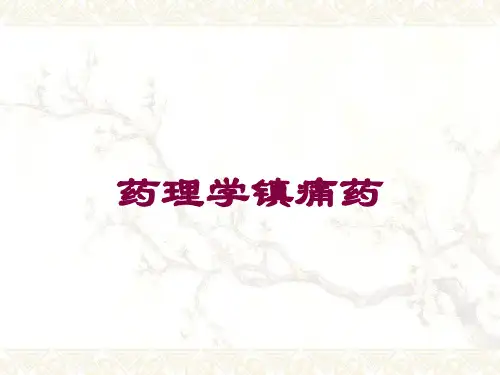 药理学镇痛药培训课件