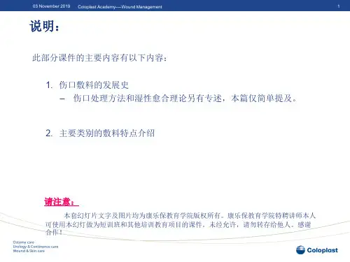 敷料的选择与应用