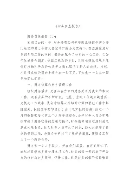 【范文】财务自查报告10篇