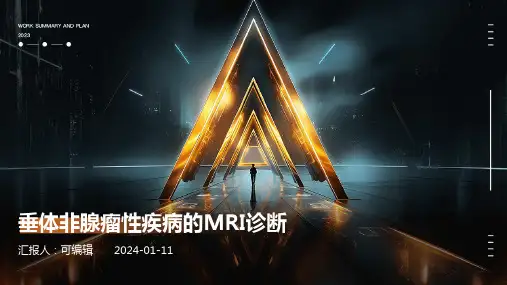垂体非腺瘤性疾病的MRI诊断讲座PPT