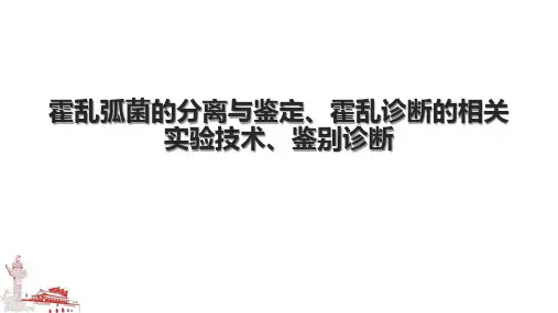 霍乱弧菌的分离与鉴定、霍乱诊断的相关实验技术、鉴别诊断.pptx