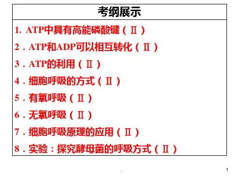 高三生物一轮复习----ATP-细胞呼吸