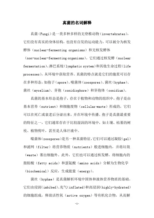 真菌的名词解释