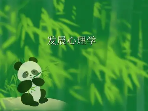 发展心理学课件(ppt 780)----