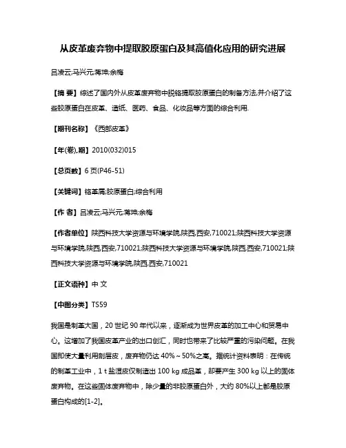 从皮革废弃物中提取胶原蛋白及其高值化应用的研究进展