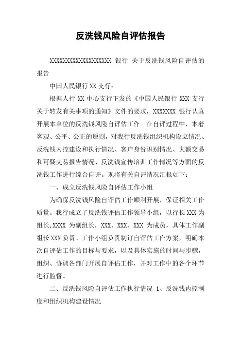 反洗钱风险自评估报告