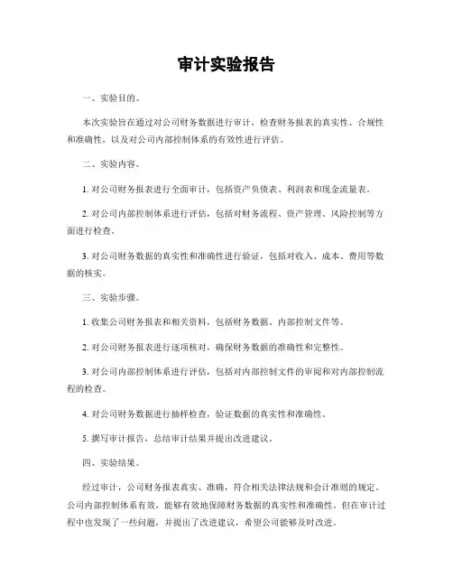 审计实验报告