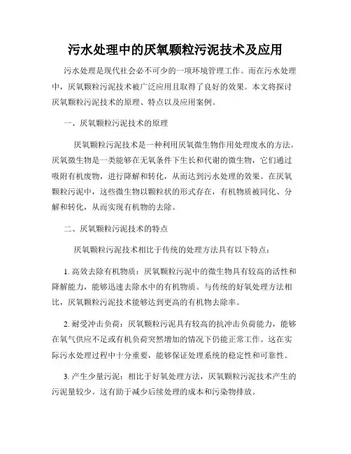 污水处理中的厌氧颗粒污泥技术及应用