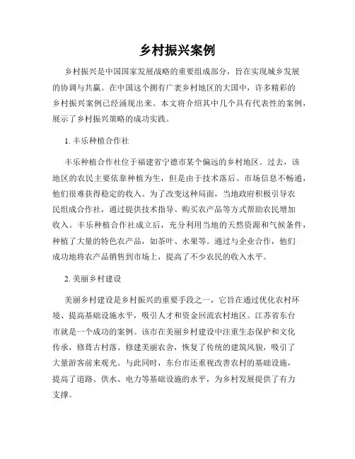 乡村振兴案例