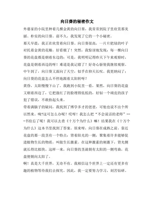 向日葵的秘密作文