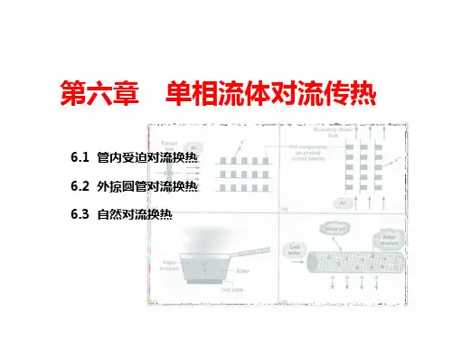 管内受迫对流换热
