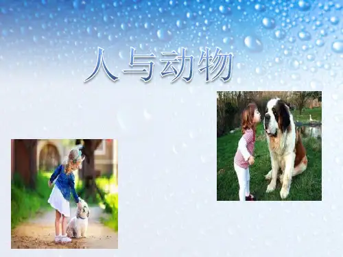 人与动物介绍PPT