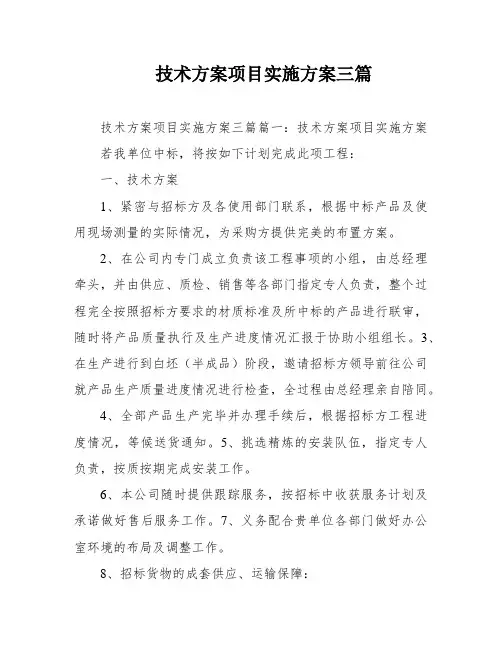 技术方案项目实施方案三篇