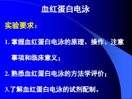 血红蛋白Hb电泳
