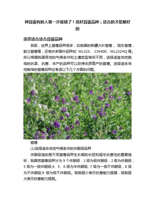 种苜蓿有的人第一步就错了！选好苜蓿品种；适合的才是最好的