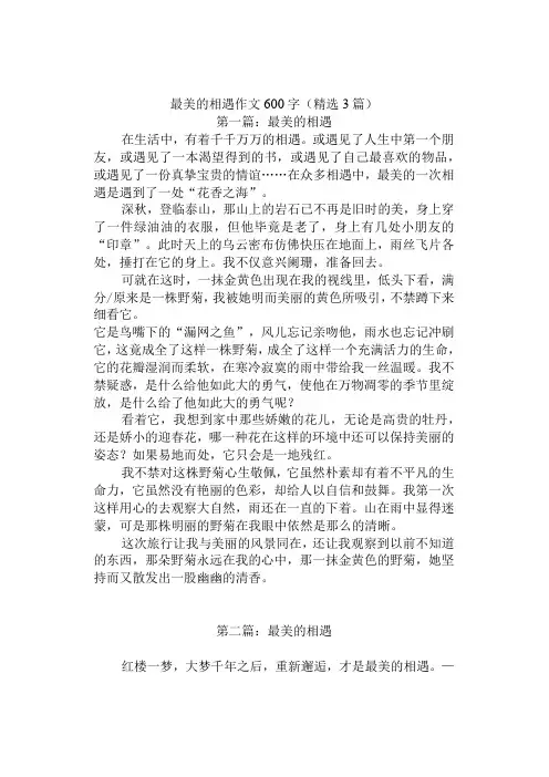 中小学《最美的相遇》作文600字(精选3篇)