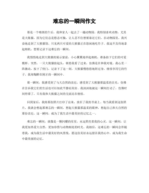 难忘的一瞬间作文