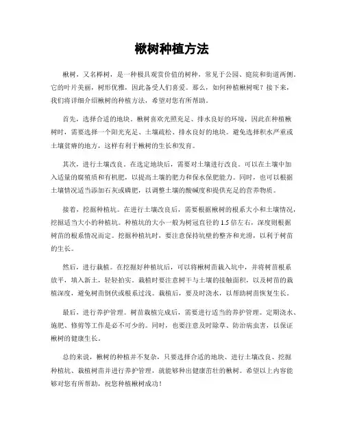楸树种植方法