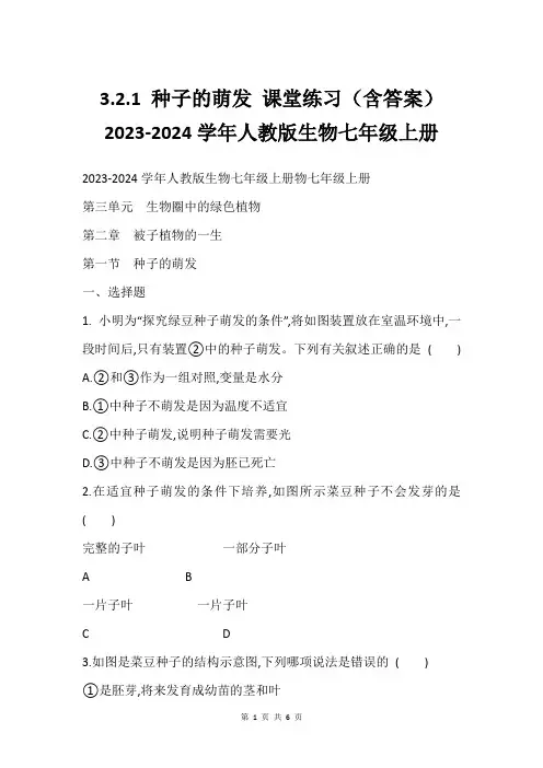 3.2.1 种子的萌发 课堂练习(含答案)2023-2024学年人教版生物七年级上册