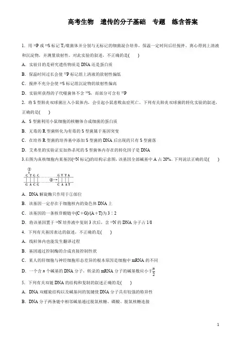 高考生物《遗传的分子基础》专题训练含答案