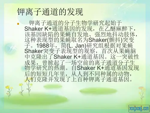 钾离子通道