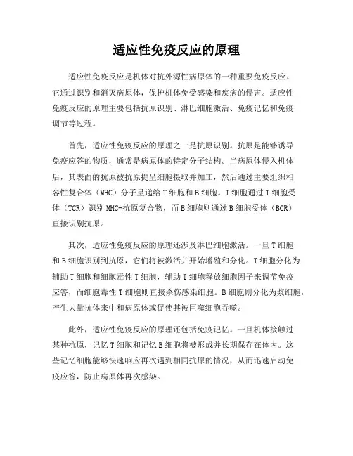 适应性免疫反应的原理