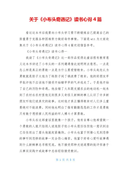 关于《小布头奇遇记》读书心得4篇